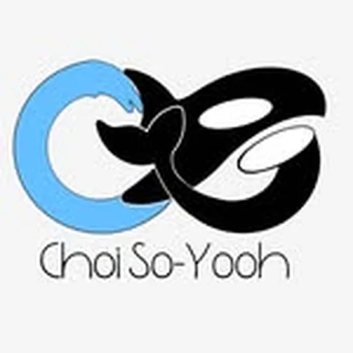 @choiso_yooh profile image