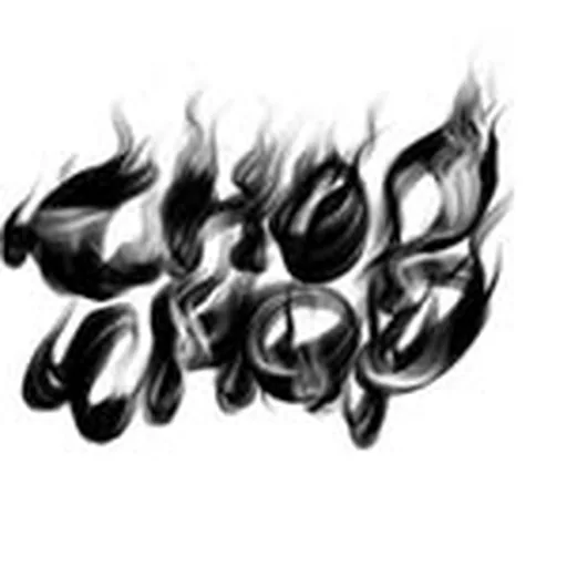 @chopchop.love profile image