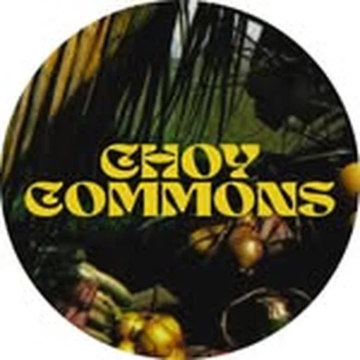 @choycommons profile image