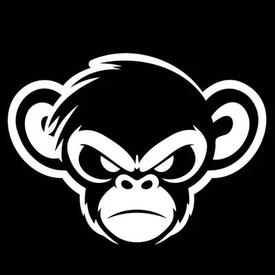 @chundamunki profile image