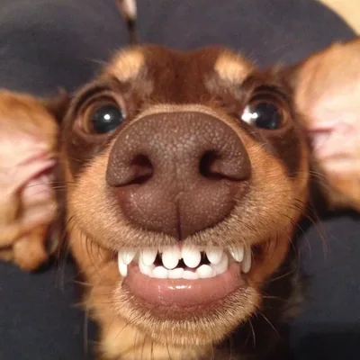 @chutney_muttney profile image