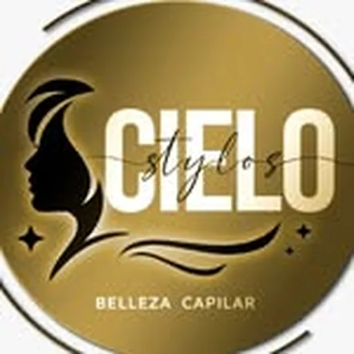 @cielostylos_capacitaciones profile image
