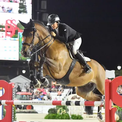 @cimarronshowstable profile image
