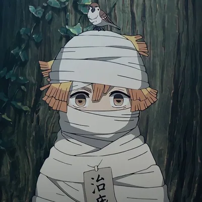 @cinqs profile image