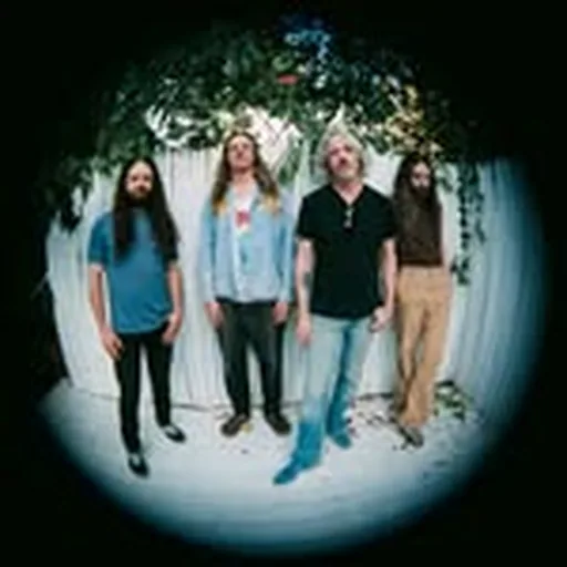 @circlesaroundthesunofficial profile image