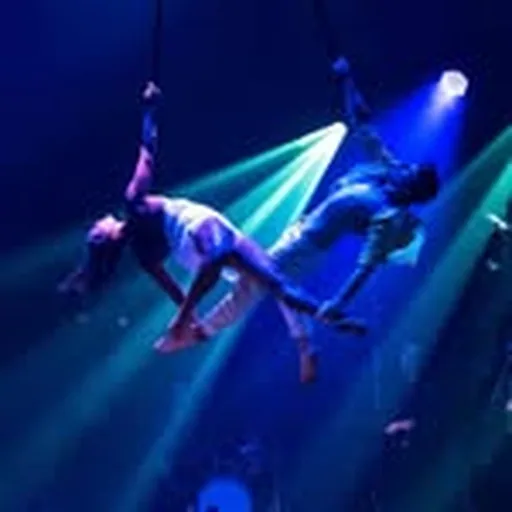 @cirquemusings profile image