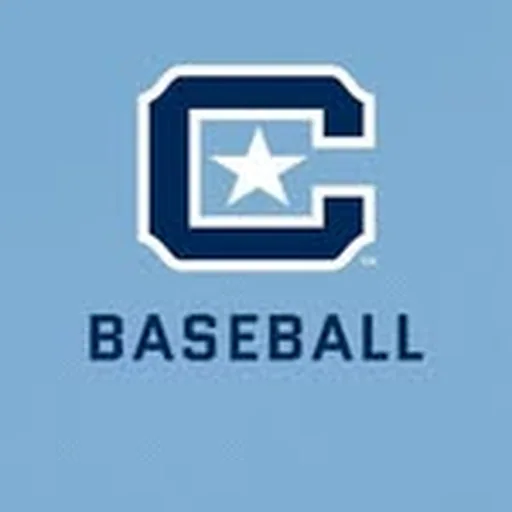 @citadelbaseball profile image