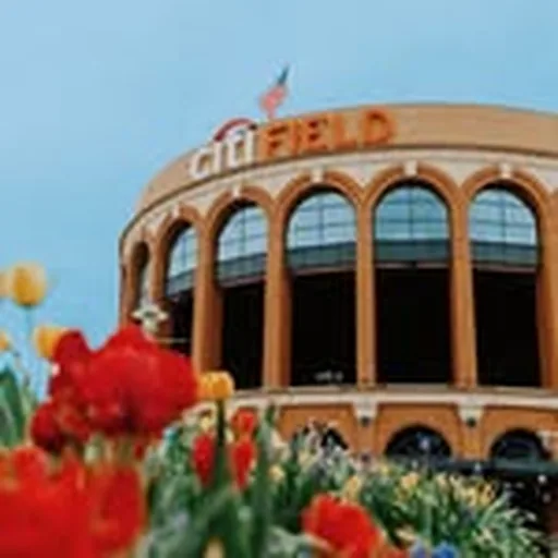 @citifield profile image
