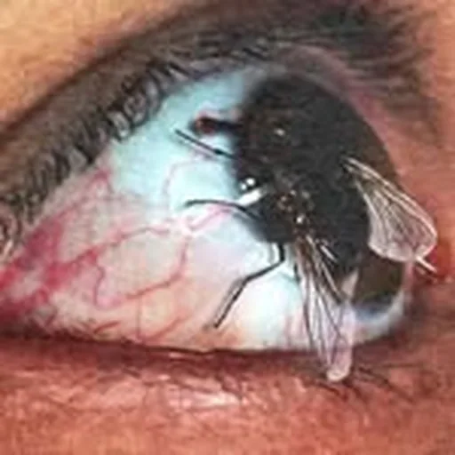 @citymorgue profile image