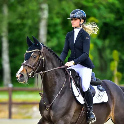 @ck_equestrian profile image
