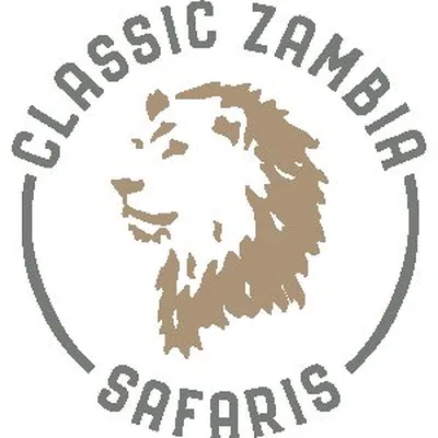 @classiczambiasafaris profile image