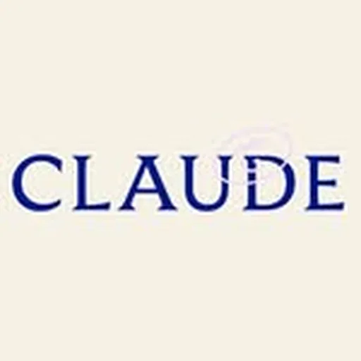 @claude_nyc profile image