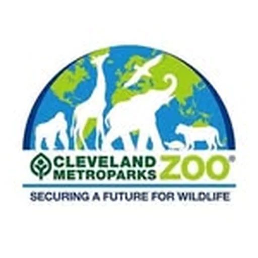 @clemetzoo profile image