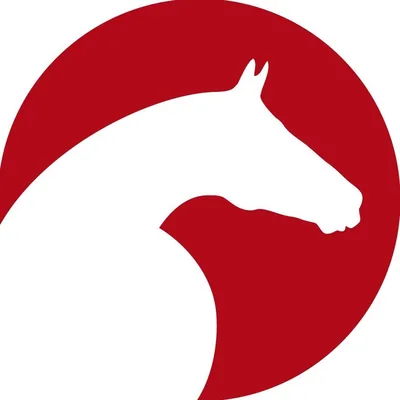@clipmyhorse.tv profile image