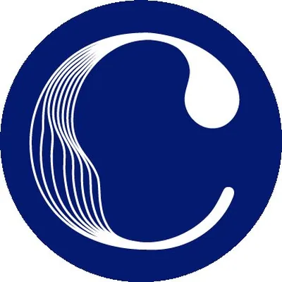 @cltsymphony profile image