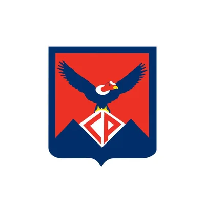 @clubpucaraoficial profile image