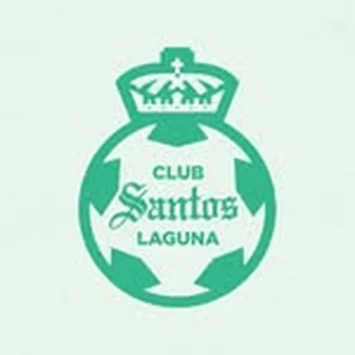 @clubsantosfemenil profile image