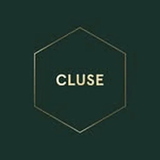 @cluse profile image