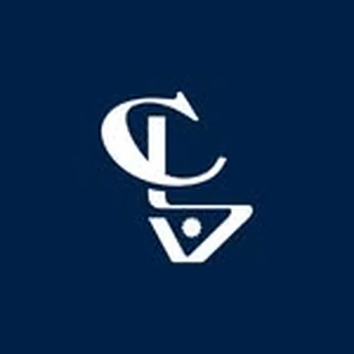 @clvgroup profile image