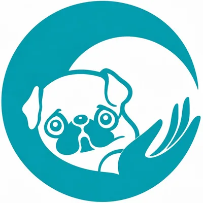 @cmvp.rj profile image