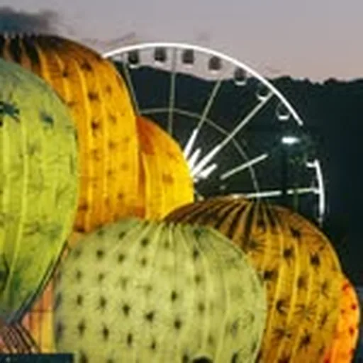@coachella profile image