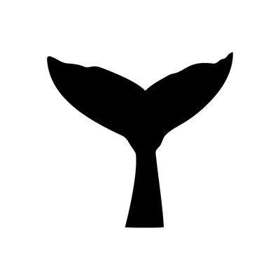 @coastalrainforestsafaris profile image