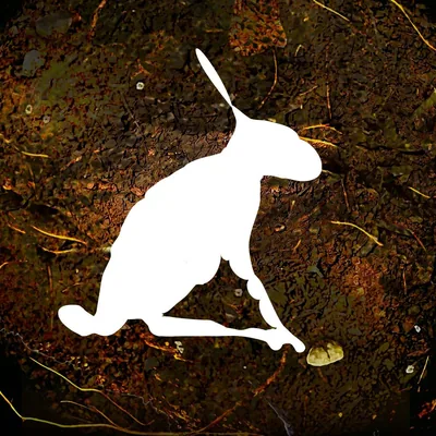 @coatocoletivo profile image