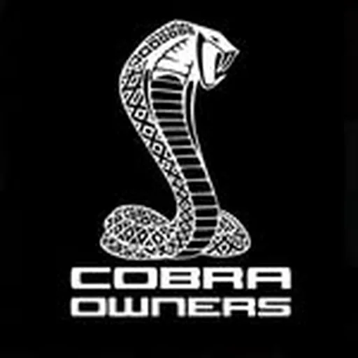 @cobraowners profile image