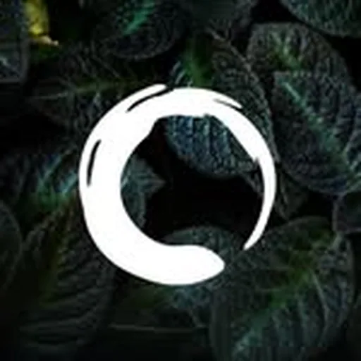 @coccohairpro profile image
