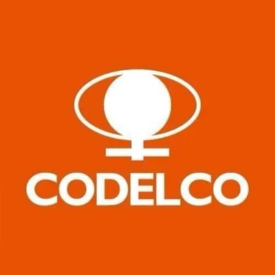 @codelco_chile profile image