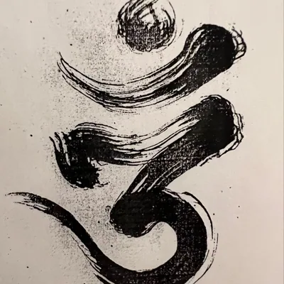 @codonnell_nyc profile image