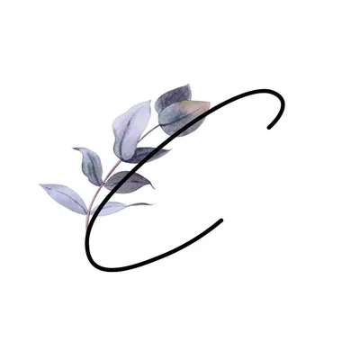 @colettanyc profile image