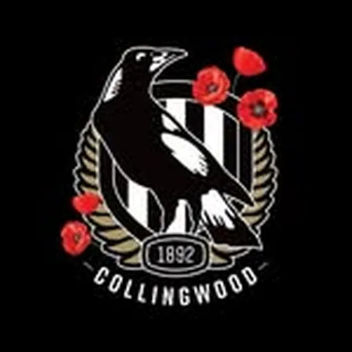 @collingwood_fc profile image