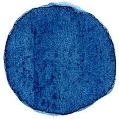 @colorant_official profile image