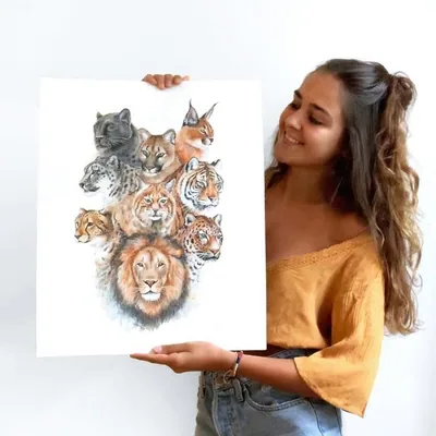@colors_of_the_wild profile image