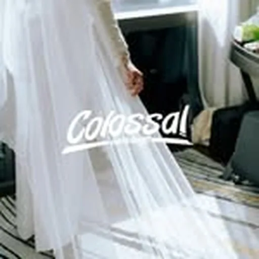 @colossalweddings profile image