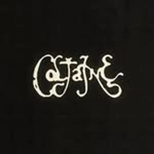 @coltaine profile image