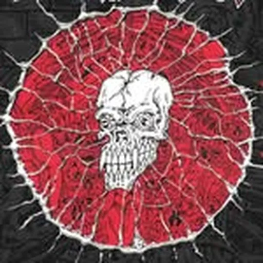@combustnyhc profile image