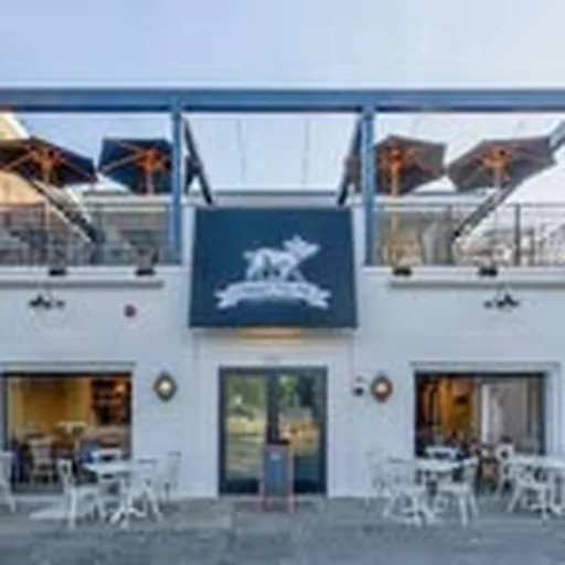 @committedpigmanasquan profile image