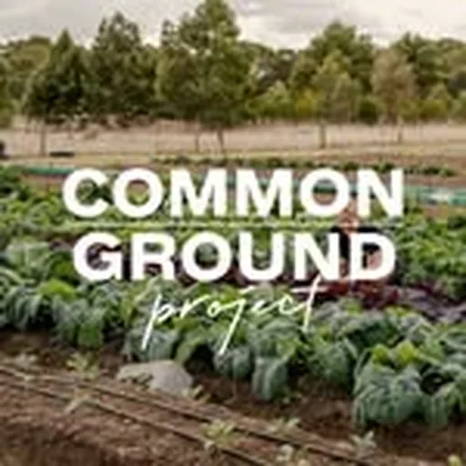 @common_ground_project profile image