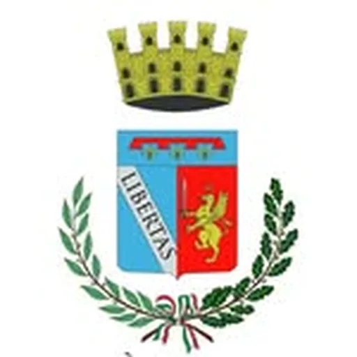 @comuneimolaufficiale profile image