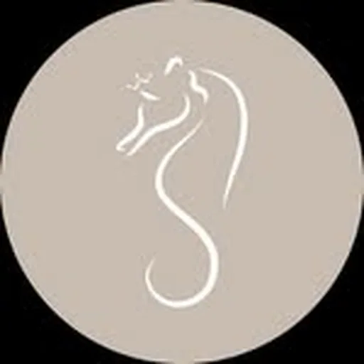 @concadelsogno profile image