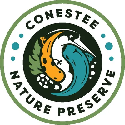 @conesteepreserve profile image
