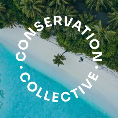 @conservationcollectiveorg profile image