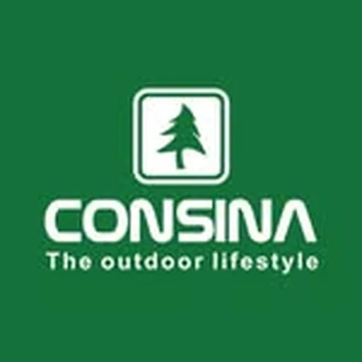 @consinaofficial profile image