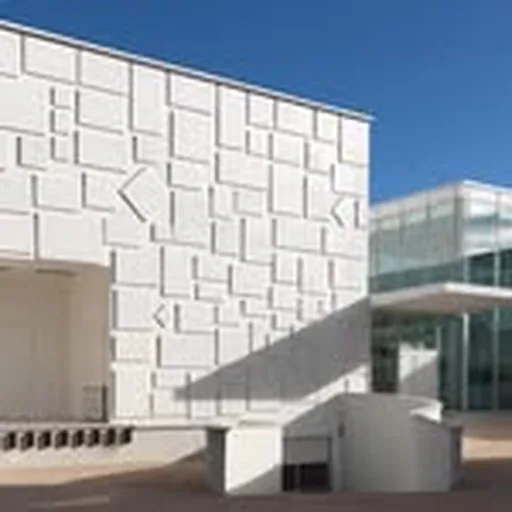 @consortiummuseum profile image
