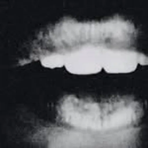 @contrasthigh profile image