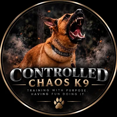 @controlledchaosk9dogtraining profile image