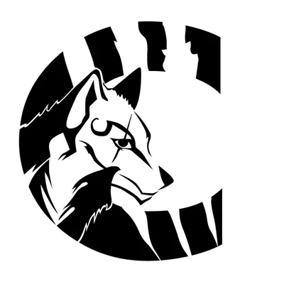 @convencioncolombia profile image