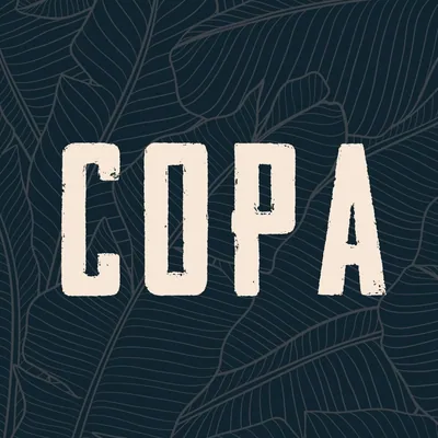 @copa.dtsp profile image